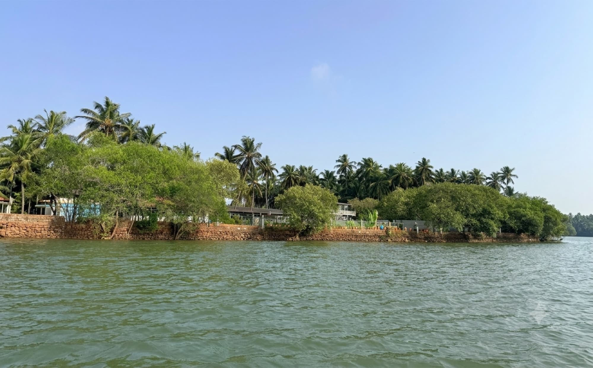 The whole property seen from the middle of the estuary: a long coursed laterite bank wall, mangroves and coconut palms above it, and the buildings set back among the trees under an open blue sky.