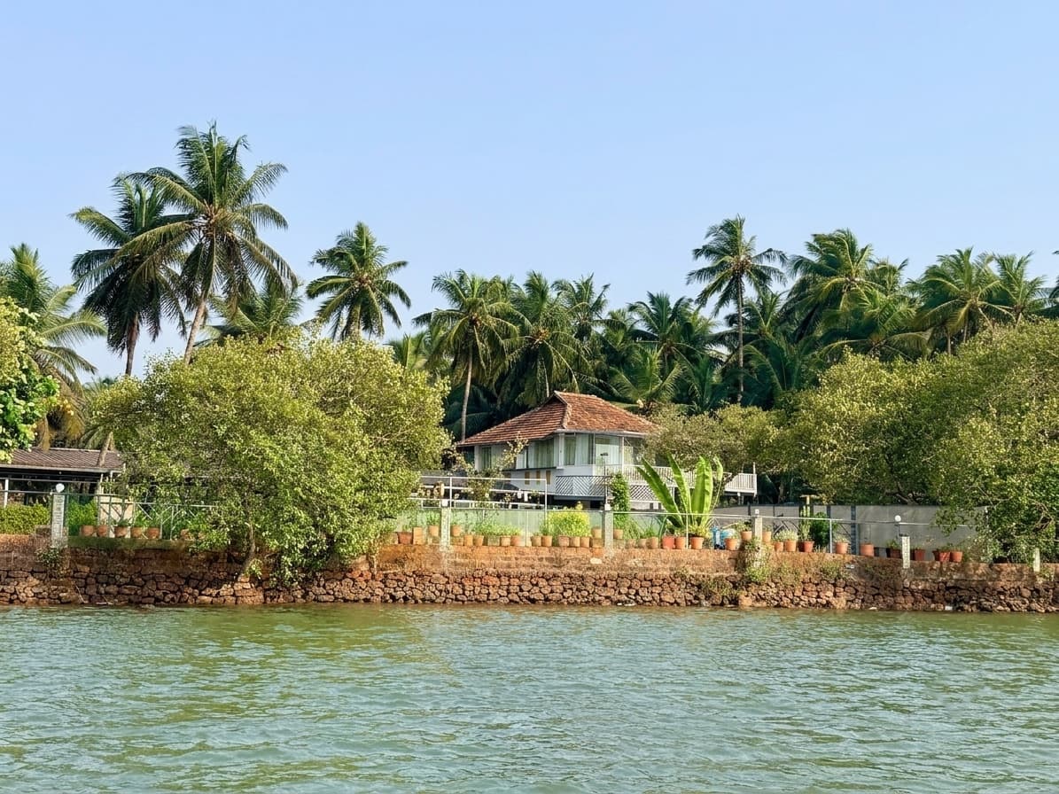 The property seen from the estuary: a coursed laterite block wall holding the bank, and a tiled roof among the coconut palms behind it.
