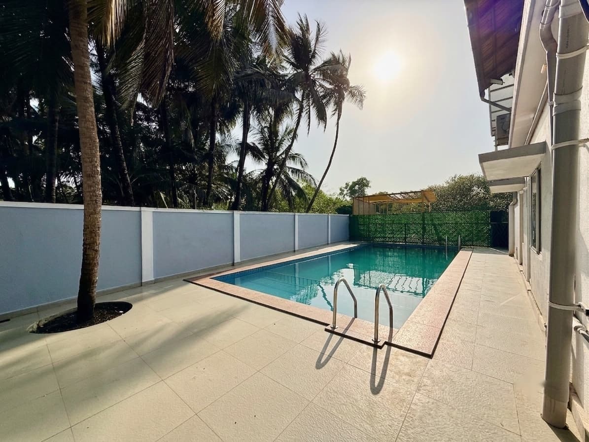 The swimming pool, with a wide tiled deck around it, coconut palms overhead and the room block along one side.